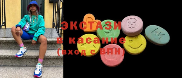 дмт Краснослободск