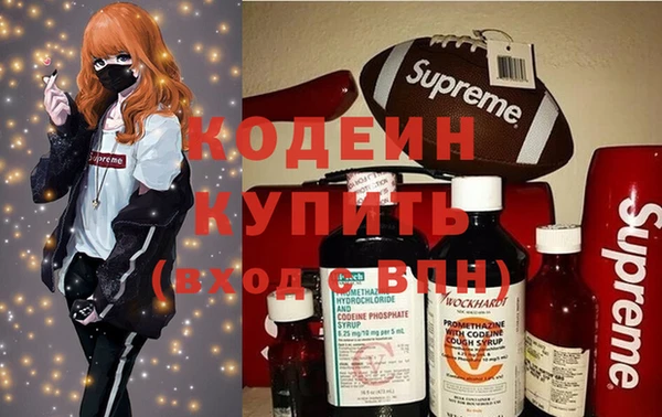 дмт Краснослободск