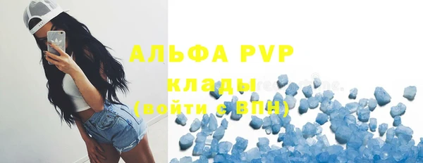дмт Краснослободск