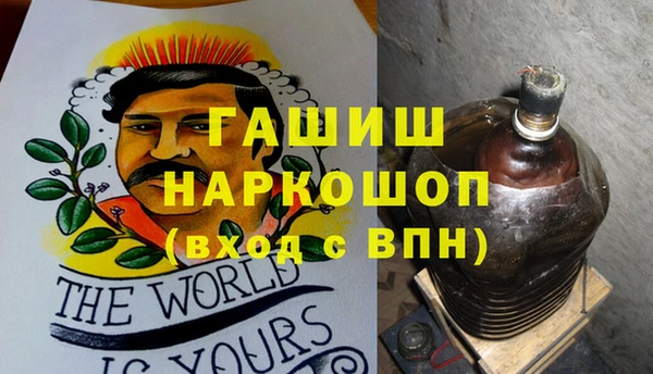 дмт Краснослободск