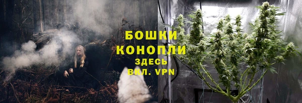 МДПВ Краснотурьинск