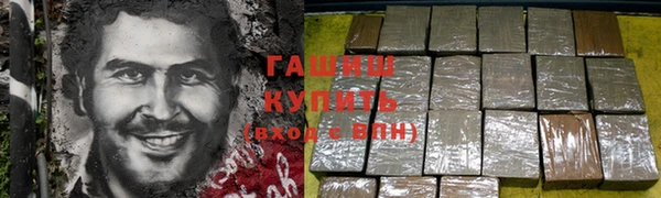 дмт Краснослободск
