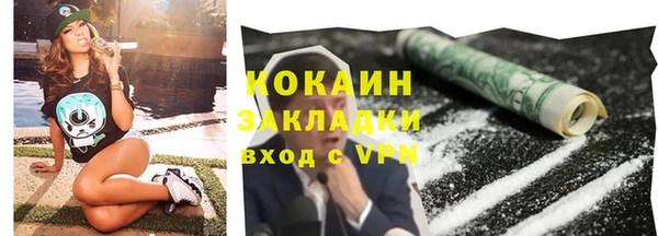 дмт Краснослободск