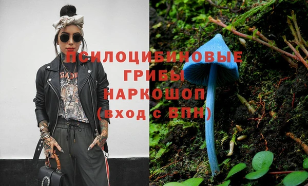 дмт Краснослободск