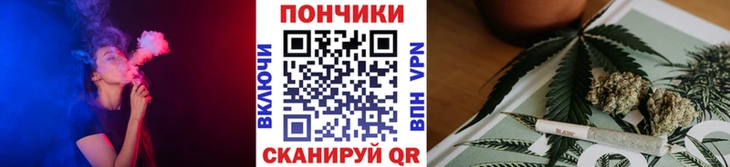 Купить закладки  Махачкала  Канабис сатива 